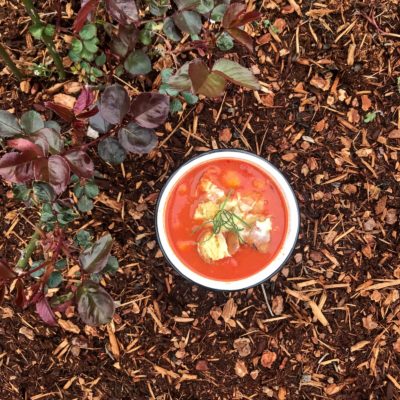 backcountry foodie recipes - soup