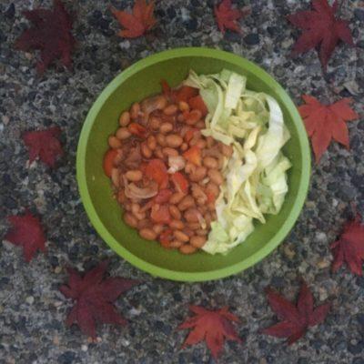 backpacking meals diy - bbq beans