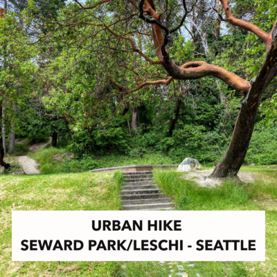 urban hike seattle - sewawd park