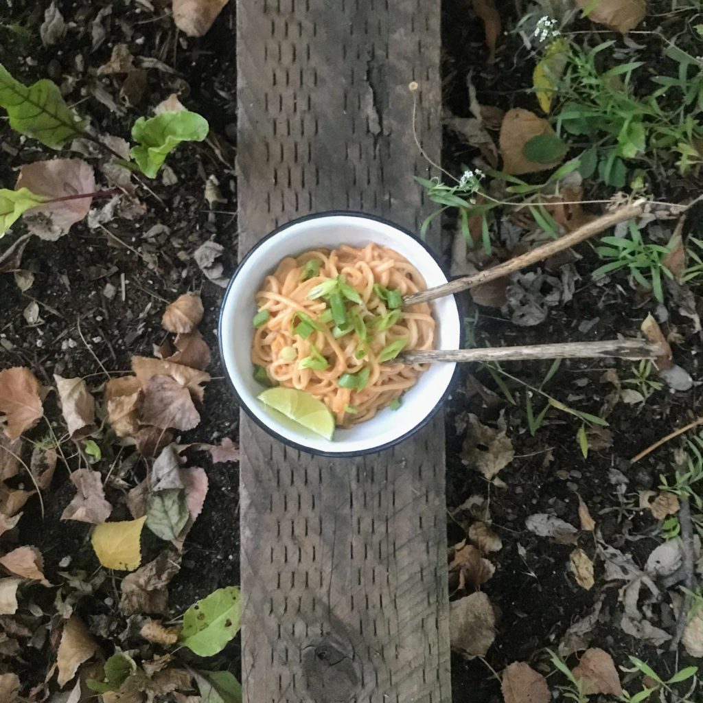 backpacking dinner ideas - noodles